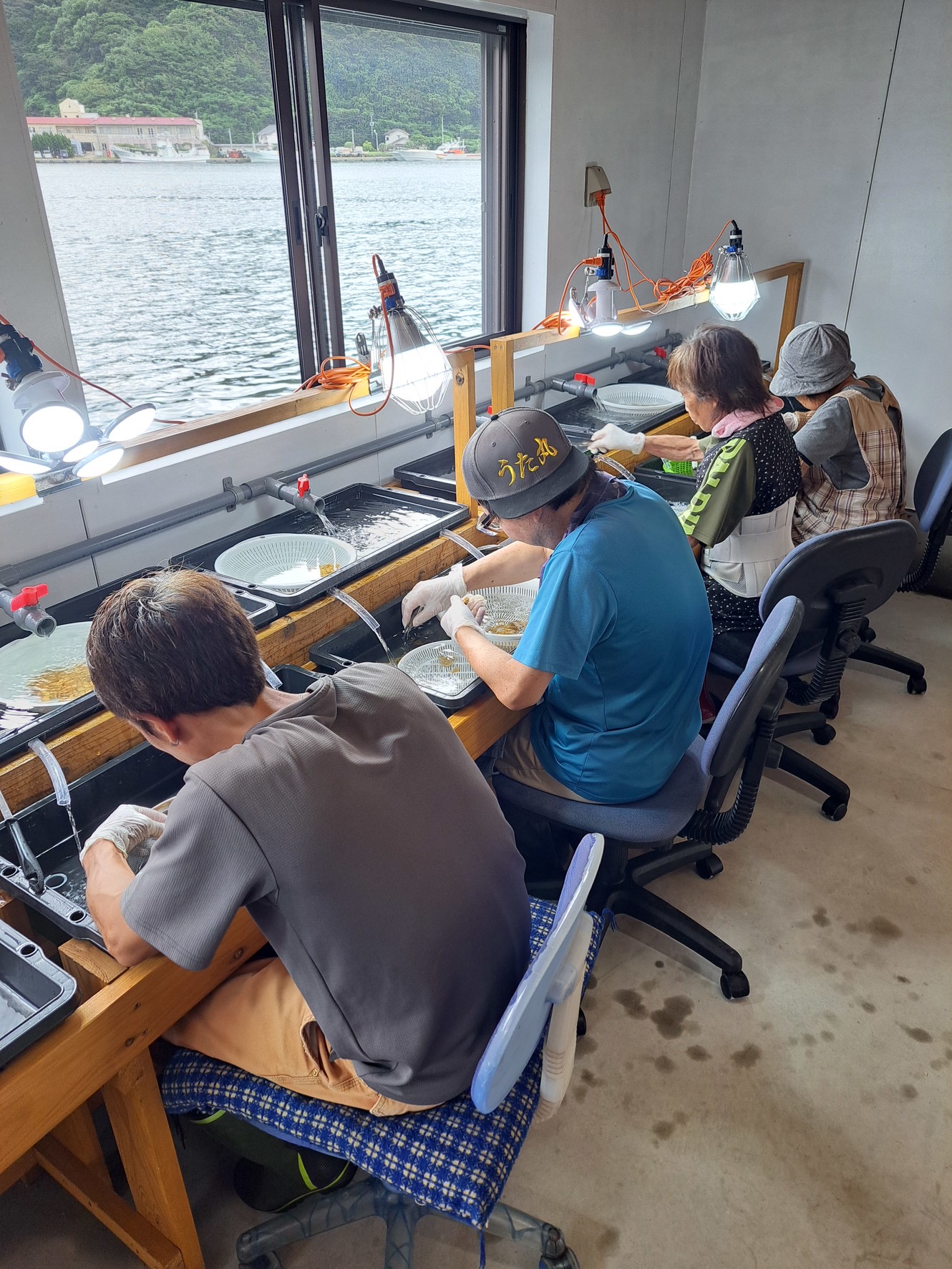 船上のガンガゼウニ