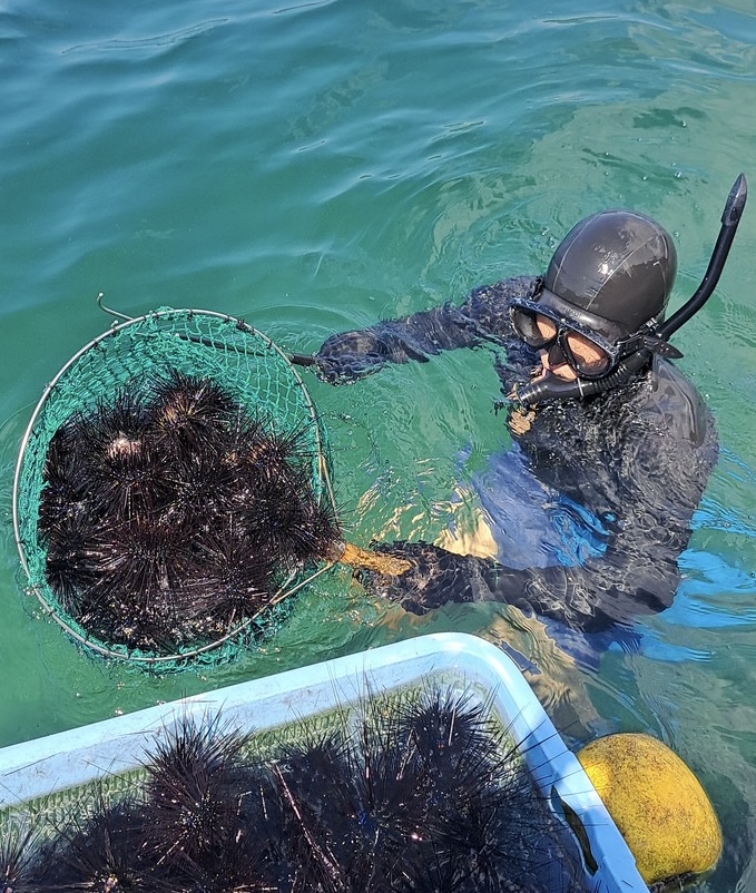 五島の夕日と森川さん